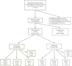 Flowchart Of The Thigh Muscle Injuries That Occurred During