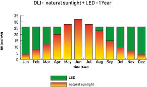 The daily light integral (dli) specifies the usable light received within a 24 hour window. Anwendungen Hortione Com
