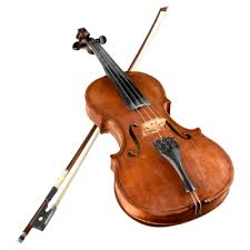 Image result for Viola