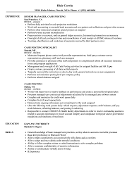 Certified public accountant with 5+ years of experience of ledger processes, account reconciliations. Cash Posting Resume Samples Velvet Jobs