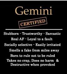 I don't do astrology, but this is accurate AF! | Gemini personality, Gemini  traits, Horoscope gemini