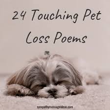 As we work through the grieving process, we need as much as support as we can get. 24 Touching Pet Loss Poems To Find Comfort In Sympathy Card Messages