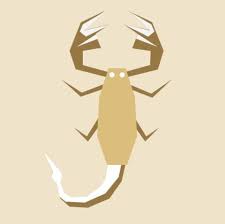 Skorpion sternzeichen von wann bis wann? Sternzeichen Skorpion Eigenschaften Und Charakter Gala De