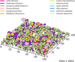 Image result for Galiniera