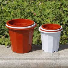 We did not find results for: Decorating Plastic Plant Pots Wilson Garden