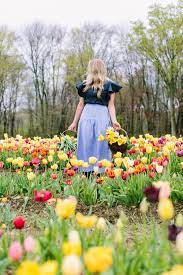 Pin On Spring