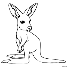 Kangaroo Cartoon Drawing In 4 Steps With Photoshop Kangaroo Art Kangaroo Drawing Kangaroo Illustration