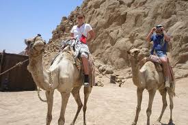 More coffee cigarettes cigarettes cigarettes home depot careers jobs can still buy simple. Camel Ride In Sharm Elsheikh Desert Provided By Egyptland Tours Sharm El Sheikh South Sinai Tripadvisor