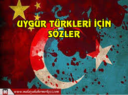 Doğu türkistan'da zulüm bitecek mi? Uygur Turkleri Icin Skandal Sozler