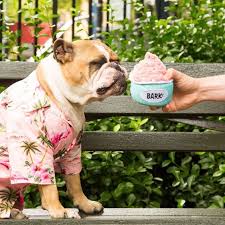 Can I Give My Dog Pepto Bismol Is Pepto Bismol Safe For Dogs Dogtime Cute Dog Toys Dogs Puppy Care
