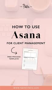 Business Analyst Project Management Analysis Course In 2020 Client Management Management Business Analyst