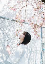 酒井貴弘 on twitter photography blossom photo