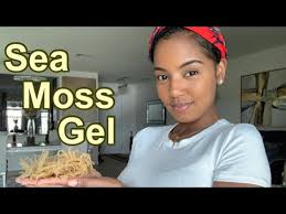 Learn how to make purple sea moss gel and where to get high quality real purple. How To Make Sea Moss Gel Youtube