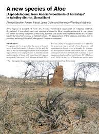 Image result for Aloe welwitschii