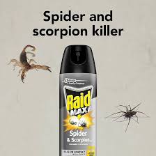 Raid Ant & Cockroach Killer | Ocado