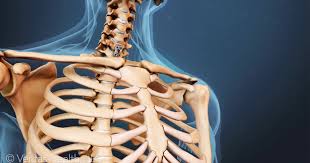 Spinal Cord Compression And Dysfunction From Cervical Stenosis Spinal Stenosis Spinal Fusion Surgery Acdf Surgery