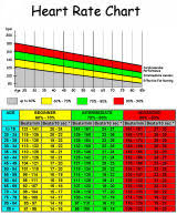 Timeless Pulse Rate Chart For Kids Heart Rate Chart For Kids