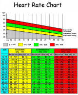 Timeless Pulse Rate Chart For Kids Heart Rate Chart For Kids