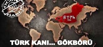 Gökbörü (belirtme hâli gökbörüyü, çoğulu gökbörüler). Turk Kani Gokboru Ogun Haber Gunun Onemli Gelismeleri Son Dakika Haberler