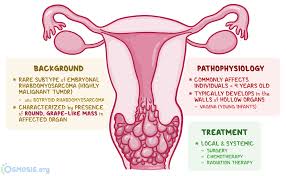 Image result for Umbilicus botryoides