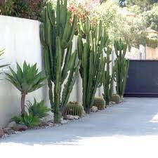 pieri jardins creation jardin contemporain amenagement de jardins var sanary six fours bandol mars jardin contemporain amenagement jardin creation jardin
