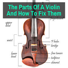 Top tips for tuning your violin: The Parts Of A Violin And How To Fix Them Musicaroo
