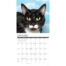 The most common tuxedo cat material is porcelain & ceramic. Tuxedo Cats 2021 Wall Calendar By Willow Creek Press Calendar Club Canada
