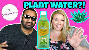 A dermatologist and cosmetic chemist explain what the actual benefits of aloe vera are for skin and what's just myth. Savia Aloe Vera Drink Review Youtube