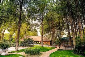Midrand Wedding Venue The Forest Walk Wedding Venue Forest Wedding Venue Wedding Venues Venues