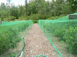 These knitted super premium grade nets are soft on fruit but tough to resist tearing and will last for up to 10 seasons if removed at harvest and stored out of the sun. Anti Bird Netting With Three Types In Agriculture Using