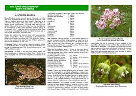 Bison, indian giant squirrel and flying squirrel. 7 Endemic Species Cape Town S Unique Biodiversity Plants And Animals