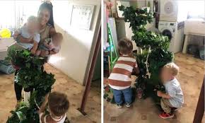 Grande sélection de cactus cat tree au prix le plus bas garanti. Kmart Hack Brisbane Woman Uses 20 Cat Tower To Create Dinosaur World Kidspot