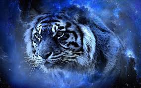 Beautiful animal tiger picture with animated objects for your gadget. 3d Hd Tiger Wallpapers Wallpaper Cave