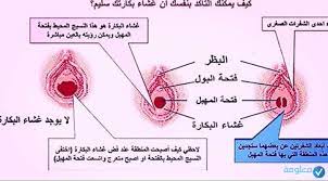 كيف أعرف اني لست عذراء عن طريق البول معلومة