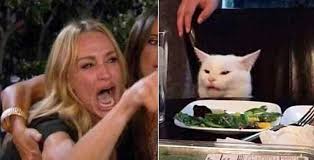 Woman Yelling At Cat Meme Explained The Dark Story Behind The Pictures