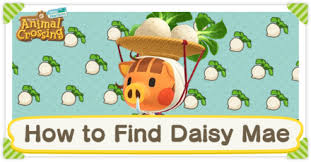 Your Guide To Turnips And The Stalk Market In Animal Crossing: New Horizons