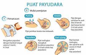 Pada dasarnya, payudara merupakan salah satu bagian tubuh yang sangat vital, terutama bagi para kaum wanita. Cara Membesarkan Payudara Photos Facebook