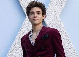 Feel something out now !! Joshua Bassett Height Weight Age Girlfriend Biography More