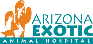 Was recommended to visit north 10th animal hospital by my good friend and fellow animal lover. Arizona Exotic Animal Hospital Veterinary Care For Exotic Pets In Phoenix Mesa Tempe Chandler Gilbert Az