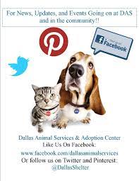 Maybe you would like to learn more about one of these? 12 Das Events Promotions Ideas Event Promotion Adoption American Dog