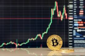 Why Volatility Scares Institutions but Attracts Individuals