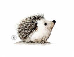 Little Hedgehog Print Of My Watercolour By Nancy Antoni Etsy Hedgehog Art Hedgehog Print Hedgehog Illustration