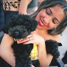 El jardín de las mariposas de Doy Hutchinson