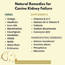 Use These Natural Remedies To Help A Dog With Chronic Kidney Failure Doghealth Dogcare Dogs Health Remedies Pet Health Insurance Natural Remedies