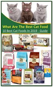 What Are The Best Cat Foods Best Cat Food Cat Food Kitten Food
