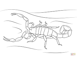 Moses and the red sea free coloring page download. Scorpions Coloring Pages Coloring Home