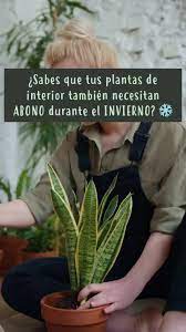 Pin En Jardineria
