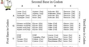Pin On Science Teaching Ideas