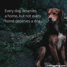 100 Dog Quotes Sayings To Make You Laugh Cry And Love Your Dog Even More Yo Doggy Dog Dog Quotes Best Dog Quotes Dog Quotes Love