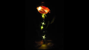 See the picture above if you need a refresher. Diy Enchanted Rose From Beauty And The Beast 1000bulbs Com Blog